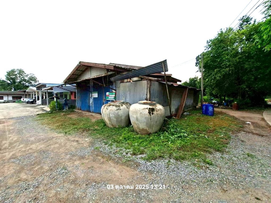 บ้านเดี่ยว 2 ห้องนอน พื้นที่ 118.75 ตร.ม. ทำเลศักยภาพ หนองโพธิ์ หนองหญ้าไซ สุพรรณบุรี