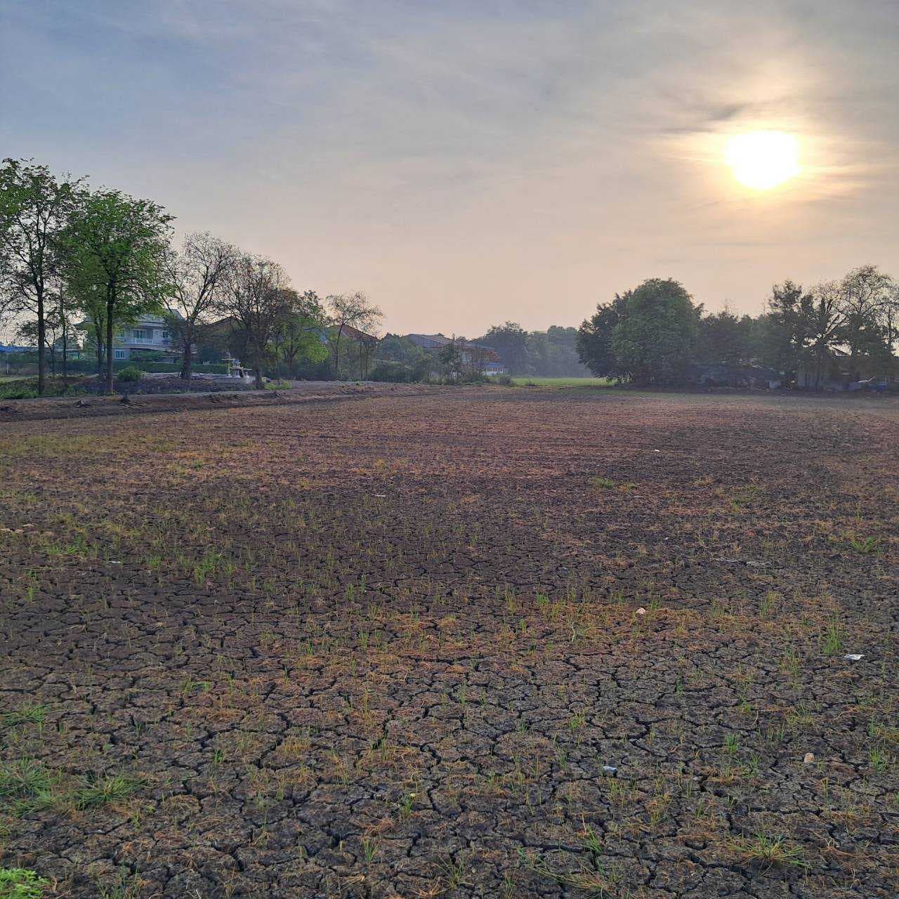 ขาย ที่ดิน แปลงสวย 2-2-8ไร่ บางเลน, นครปฐม