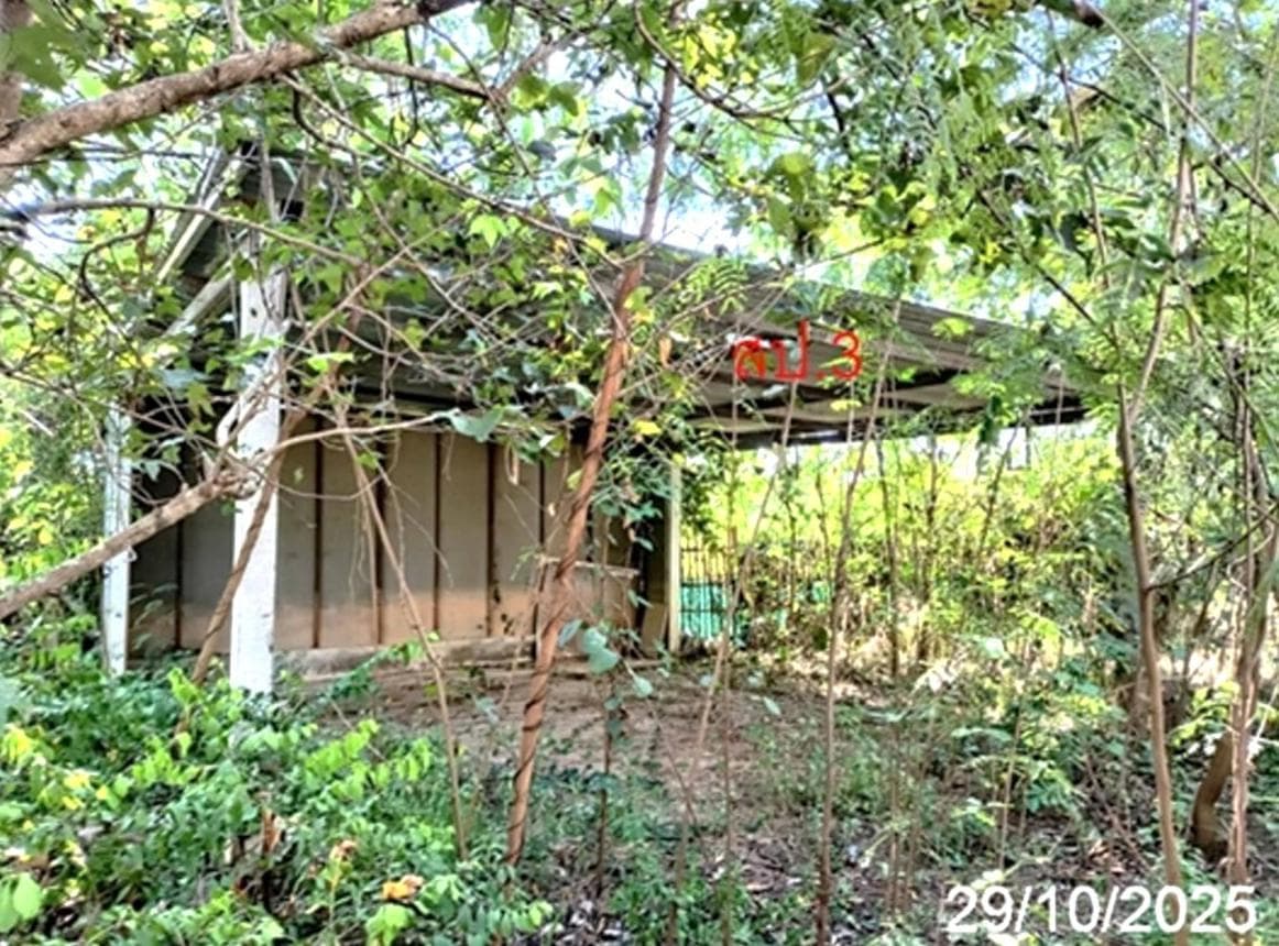 บ้านเดี่ยวหลังใหญ่ 3 ห้องนอน 3 ห้องน้ำ ทำเลศักยภาพป่าแดด เมืองเชียงใหม่ พื้นที่ใช้สอยจุใจ