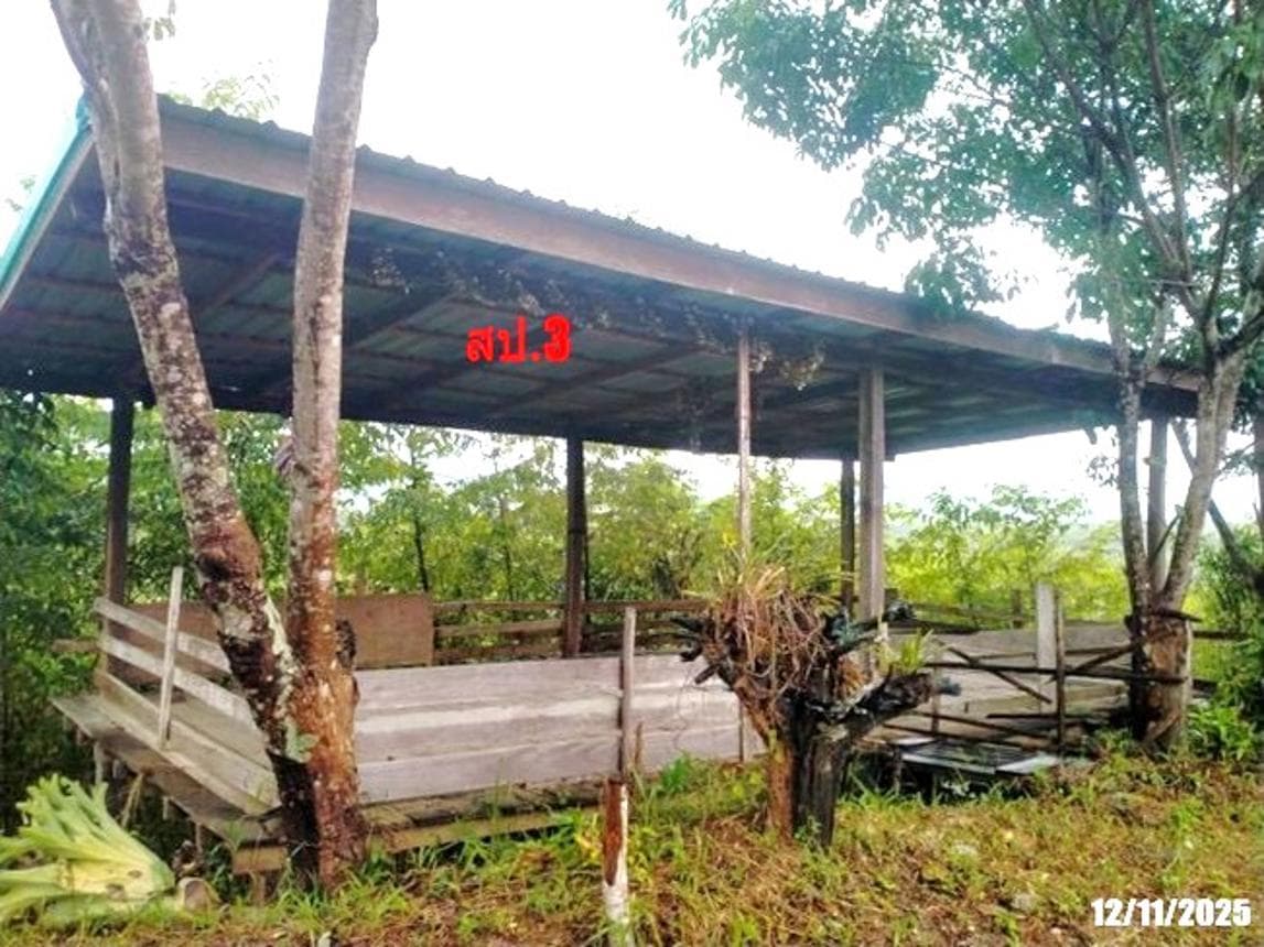 ขายบ้านเดี่ยวชั้นเดียว 1 ห้องนอน 2 ห้องน้ำ พื้นที่ใช้สอย 138 ตร.ม. ทำเลสงบ ชมเจริญ ปากชม เลย