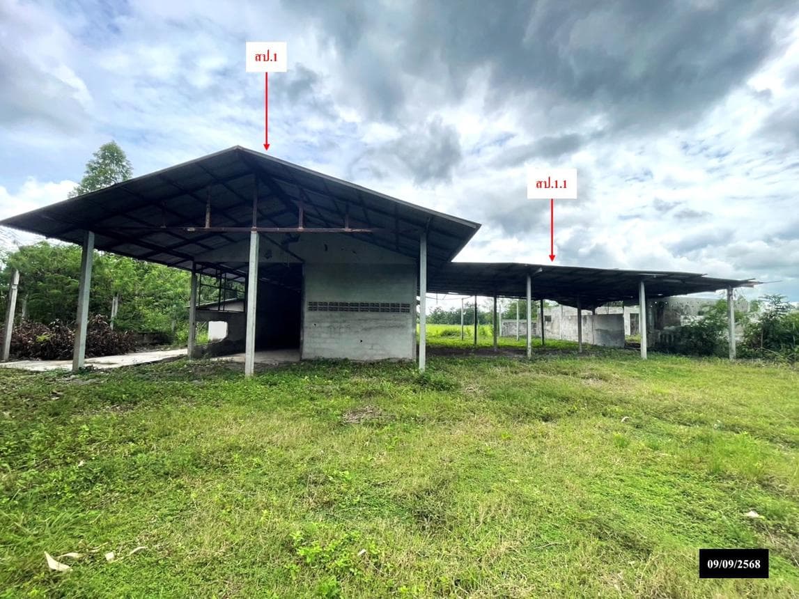 ขายบ้านเดี่ยว สว่างแดนดิน สกลนคร ทำเลหนองหลวง พื้นที่ใช้สอย 374 ตร.ม. 2 ห้องนอน 4 ห้องน้ำ สภาพดี พร้อมอยู่