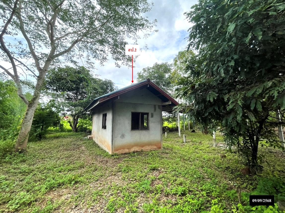 ขายบ้านเดี่ยว สว่างแดนดิน สกลนคร ทำเลหนองหลวง พื้นที่ใช้สอย 374 ตร.ม. 2 ห้องนอน 4 ห้องน้ำ สภาพดี พร้อมอยู่