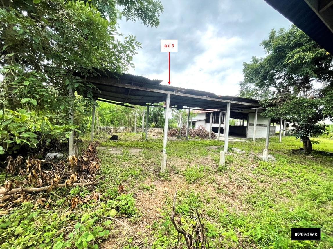 ขายบ้านเดี่ยว สว่างแดนดิน สกลนคร ทำเลหนองหลวง พื้นที่ใช้สอย 374 ตร.ม. 2 ห้องนอน 4 ห้องน้ำ สภาพดี พร้อมอยู่