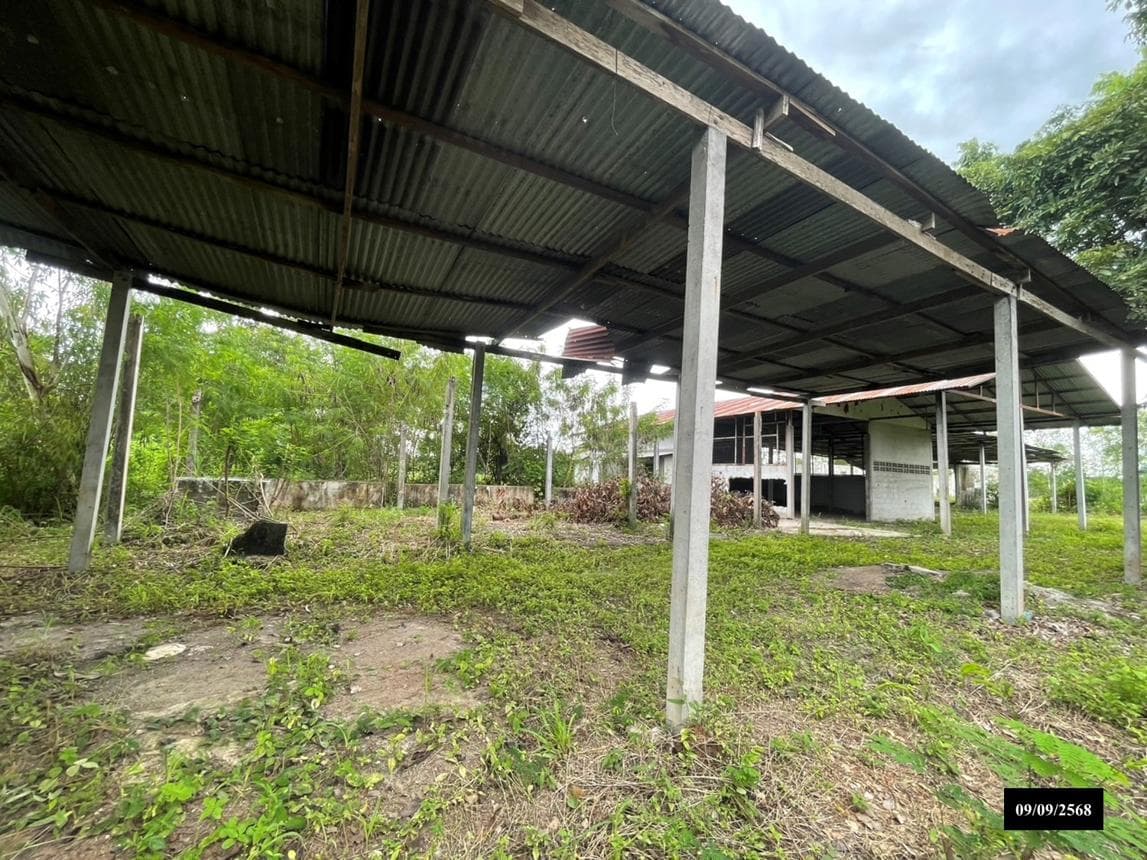 ขายบ้านเดี่ยว สว่างแดนดิน สกลนคร ทำเลหนองหลวง พื้นที่ใช้สอย 374 ตร.ม. 2 ห้องนอน 4 ห้องน้ำ สภาพดี พร้อมอยู่
