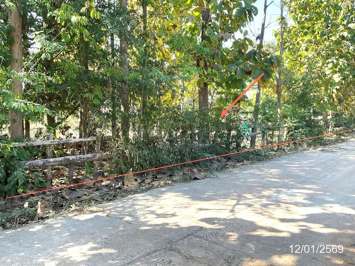 ขายที่ดินเปล่า เรณูใต้ เรณูนคร นครพนม 18 ตร.ว. ทำเลดี บรรยากาศสงบ เหมาะสำหรับสร้างบ้านพักอาศัย
