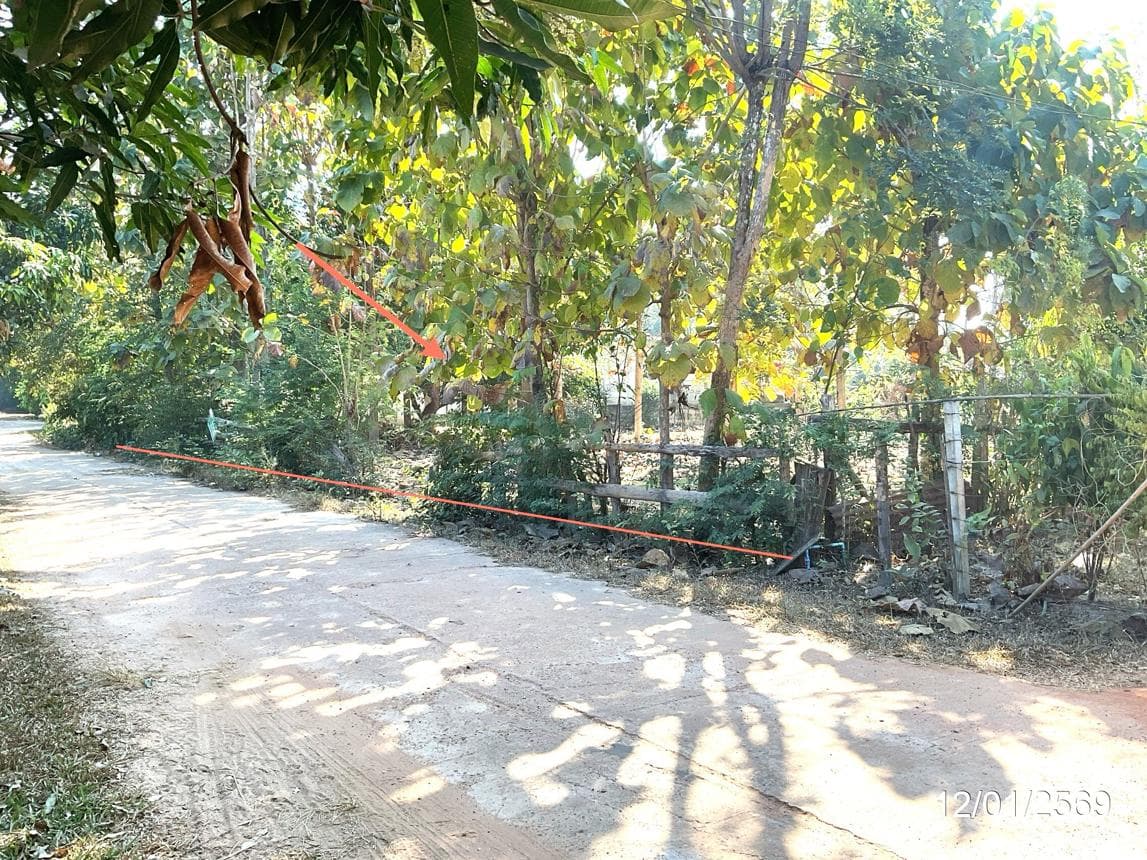 ขายที่ดินเปล่า เรณูใต้ เรณูนคร นครพนม 18 ตร.ว. ทำเลดี บรรยากาศสงบ เหมาะสำหรับสร้างบ้านพักอาศัย
