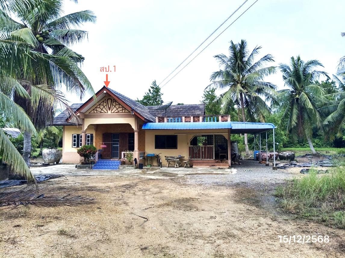 ขายบ้านเดี่ยว คลองแดน ระโนด สงขลา 3 ห้องนอน พื้นที่ใช้สอยกว้างขวาง 164.45 ตร.ม. ทำเลดี บรรยากาศเงียบสงบ