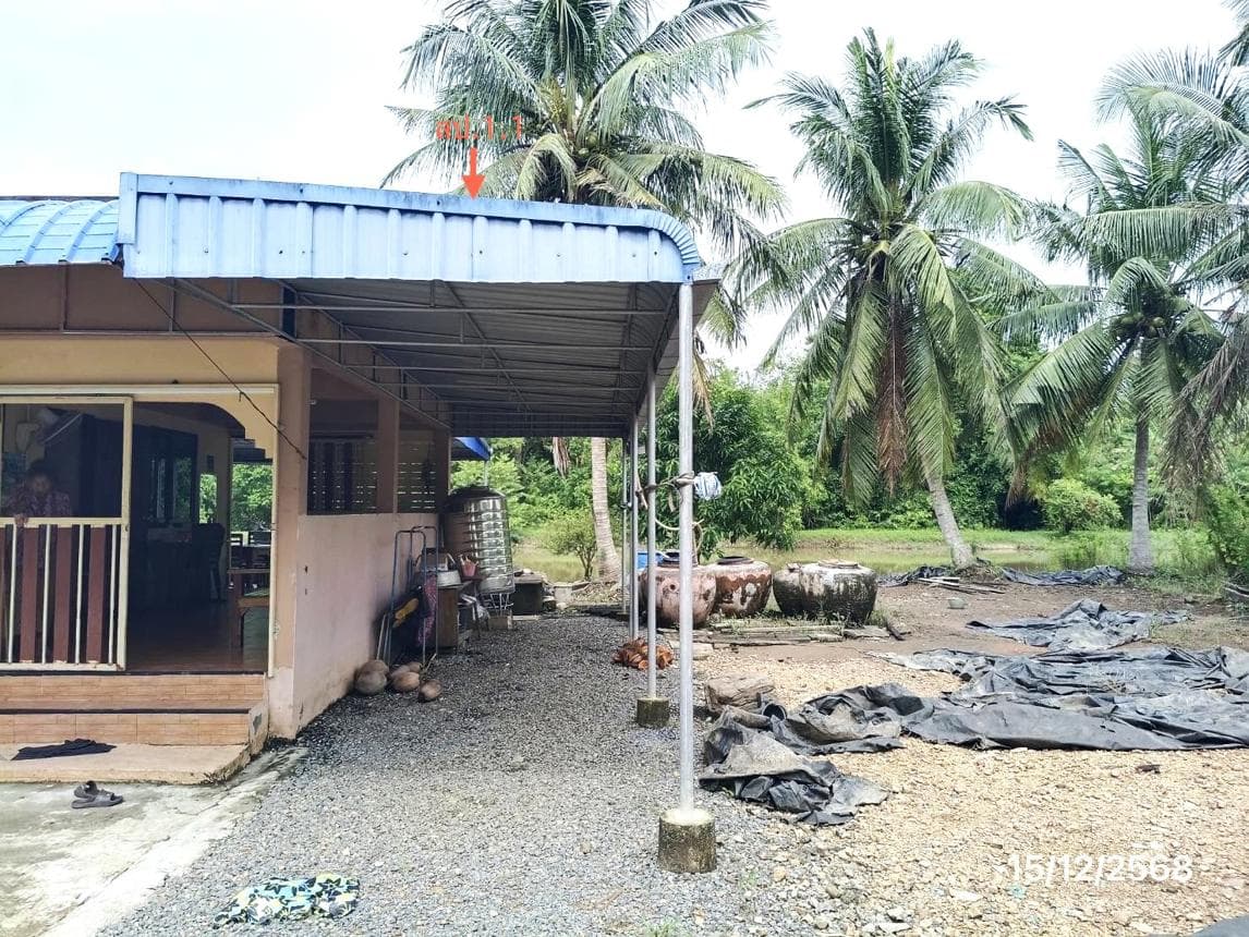 ขายบ้านเดี่ยว คลองแดน ระโนด สงขลา 3 ห้องนอน พื้นที่ใช้สอยกว้างขวาง 164.45 ตร.ม. ทำเลดี บรรยากาศเงียบสงบ
