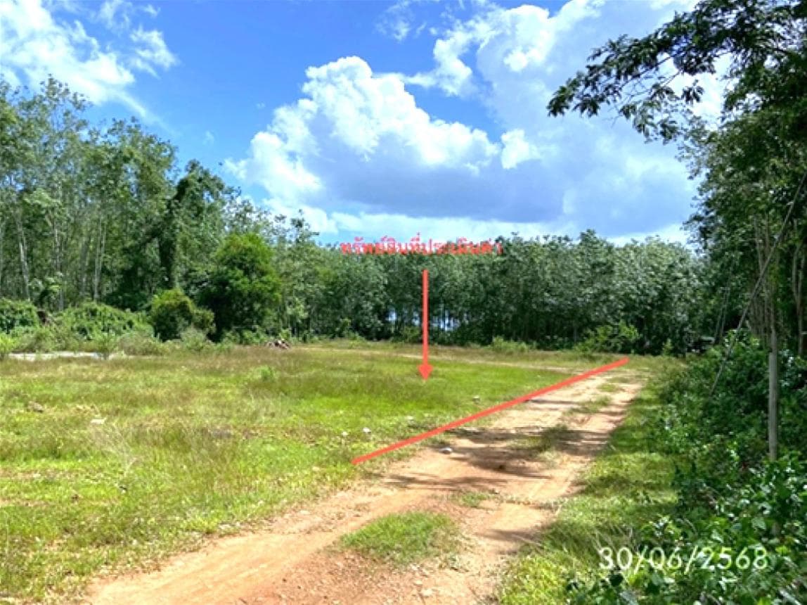 ที่ดินว่างเปล่า บ้านพรุ หาดใหญ่ สงขลา เนื้อที่ 61.5 ตร.ว. ทำเลศักยภาพใกล้แหล่งชุมชน เหมาะสำหรับสร้างที่อยู่อาศัย ราคาพิเศษ 1.27 ล้าน