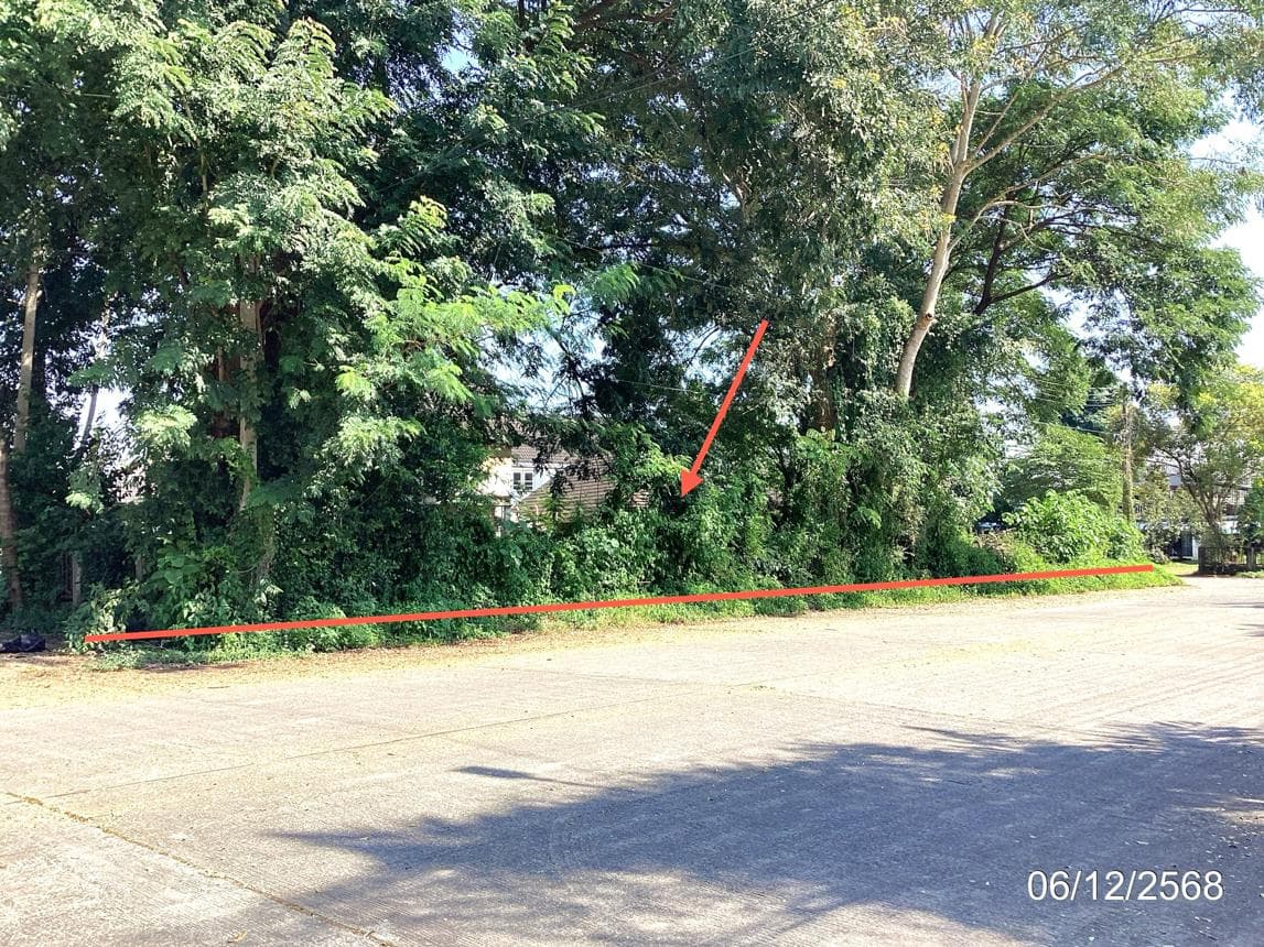 ที่ดินว่างเปล่า รอบเวียง เมืองเชียงราย เชียงราย เนื้อที่ 86 ตร.ว. ทำเลทองกลางเมือง เดินทางสะดวก ราคา 4.09 ล้านบาท