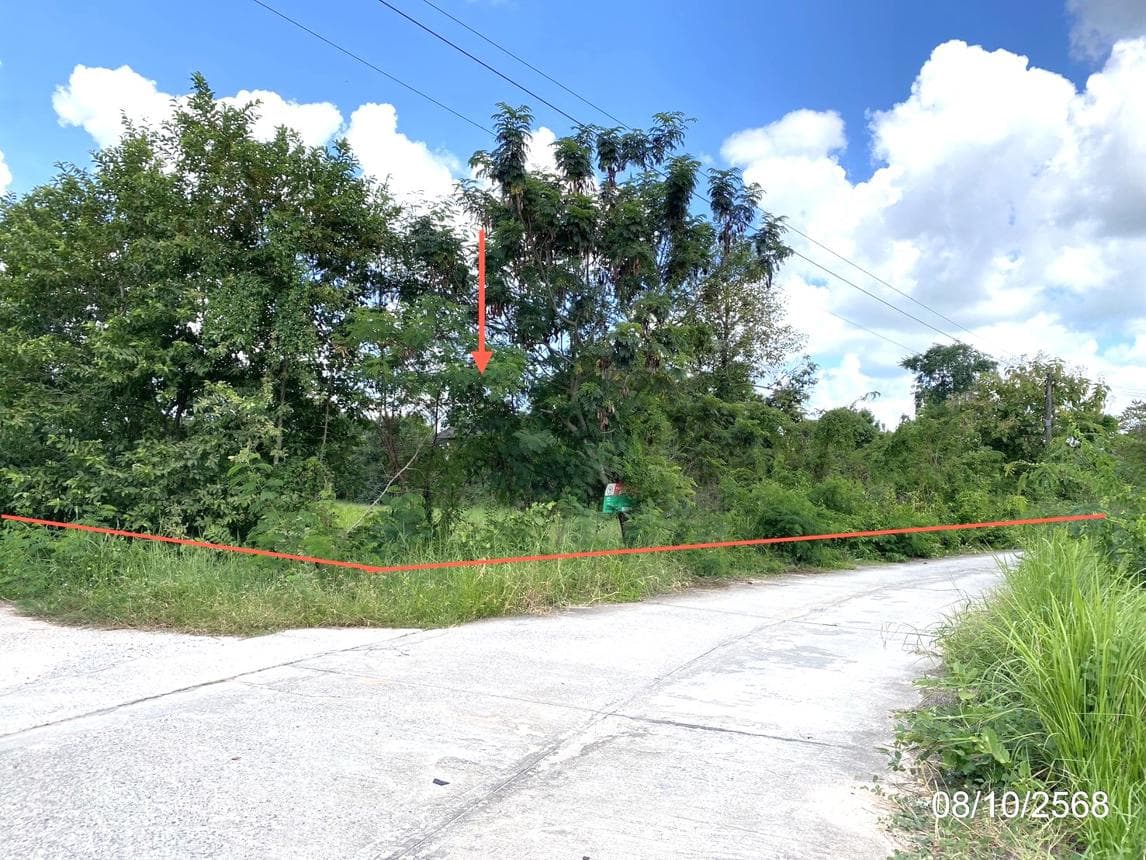 ขายที่ดินเปล่าผืนใหญ่ เมืองมหาสารคาม ทำเลตลาด เนื้อที่ 48 ไร่ ศักยภาพสูงสำหรับการลงทุนและพัฒนาโครงการ