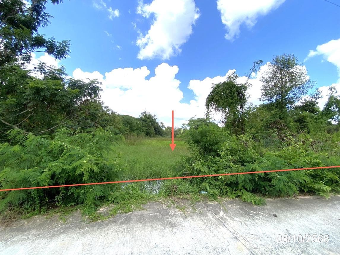 ขายที่ดินเปล่าผืนใหญ่ เมืองมหาสารคาม ทำเลตลาด เนื้อที่ 48 ไร่ ศักยภาพสูงสำหรับการลงทุนและพัฒนาโครงการ