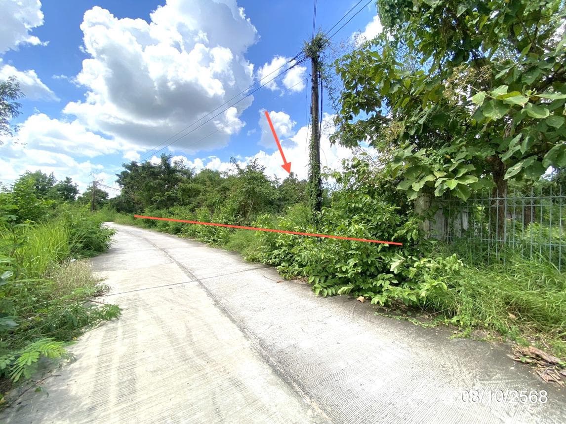 ขายที่ดินเปล่าผืนใหญ่ เมืองมหาสารคาม ทำเลตลาด เนื้อที่ 48 ไร่ ศักยภาพสูงสำหรับการลงทุนและพัฒนาโครงการ