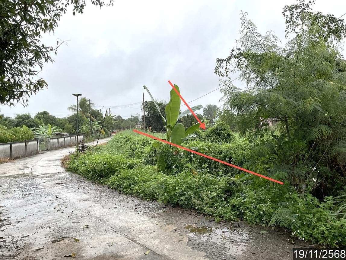 บ้านเดี่ยว ทำเลศักยภาพ ทรายขาว พาน เชียงราย