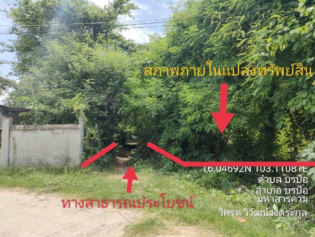 ที่ดินว่างเปล่า บ้านชำแฮด บรบือ-มหาสารคาม