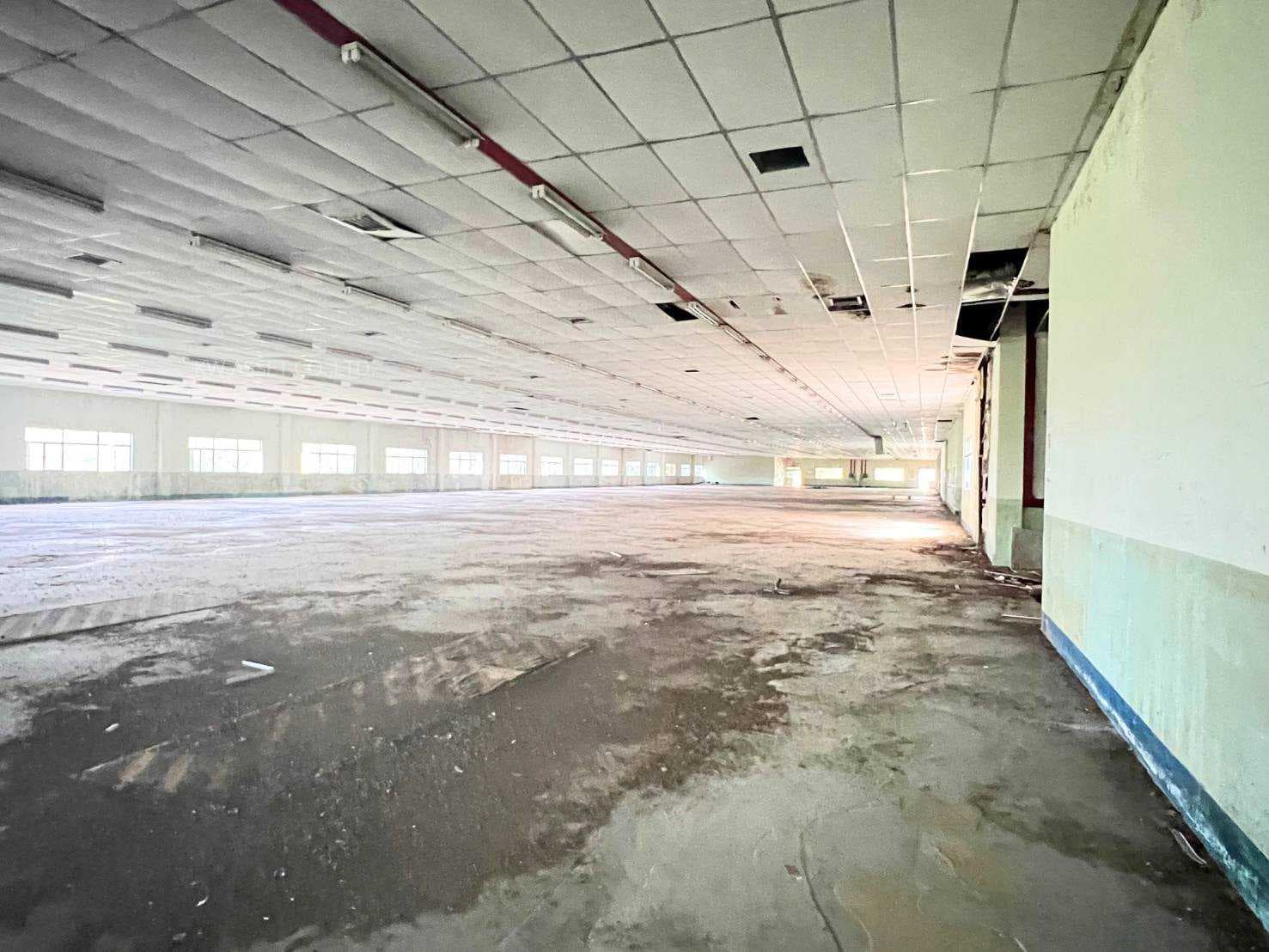 ขายที่ดินพร้อมโรงงาน 308 ไร่ ผังสีม่วงเข้มเหมาะอุตสาหกรรมหนัก
