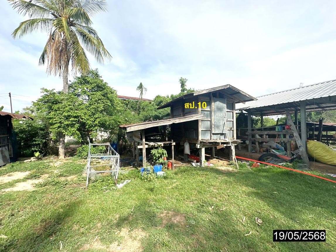 ขายบ้านเดี่ยว บรบือ มหาสารคาม ทำเลหนองม่วง เนื้อที่ 15 ตร.ว. พื้นที่ใช้สอย 233.5 ตร.ม. 1 ห้องนอน สภาพดี พร้อมอยู่