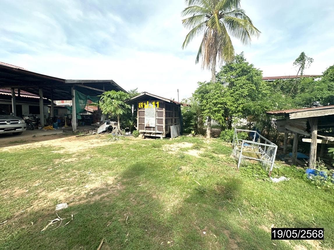 ขายบ้านเดี่ยว บรบือ มหาสารคาม ทำเลหนองม่วง เนื้อที่ 15 ตร.ว. พื้นที่ใช้สอย 233.5 ตร.ม. 1 ห้องนอน สภาพดี พร้อมอยู่