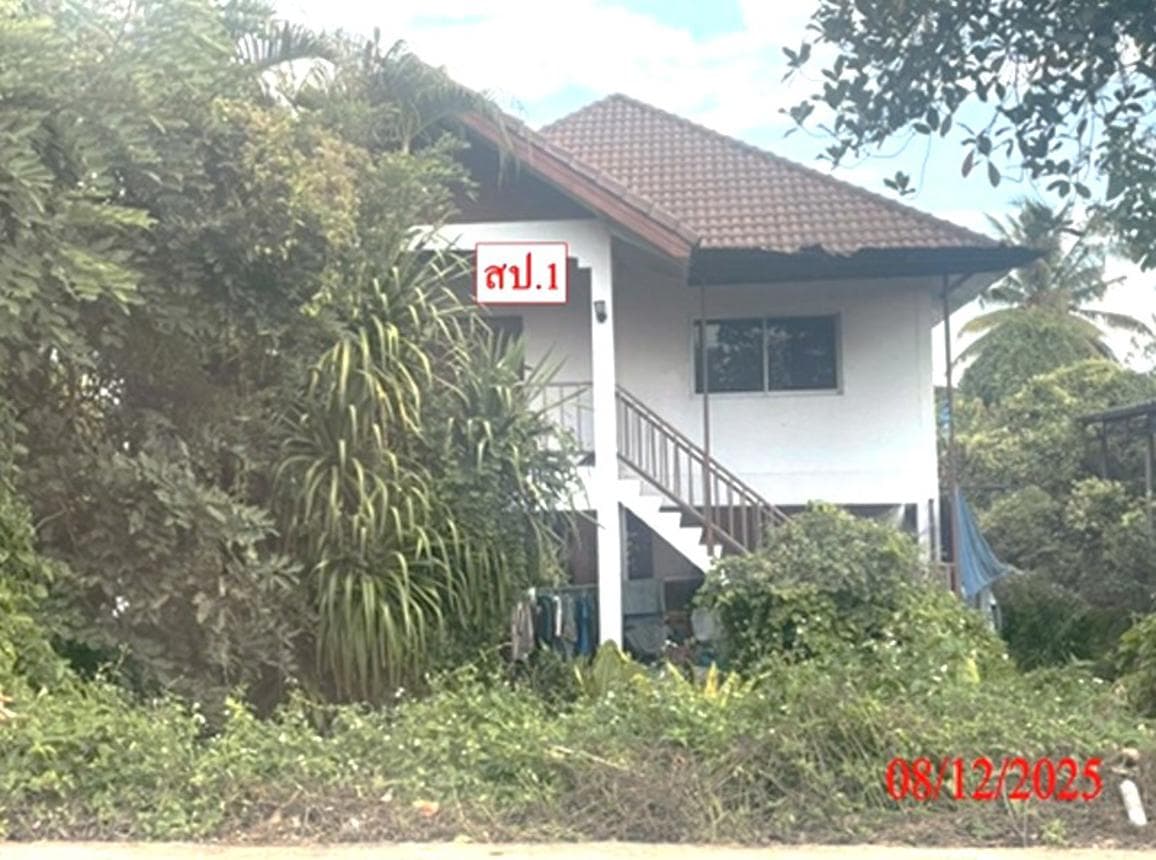 ขายบ้านเดี่ยว หนองช้างคืน เมืองลำพูน พื้นที่ 18.7 ตร.ว. พื้นที่ใช้สอย 222 ตร.ม. 3 ห้องนอน ทำเลดี ราคา 2.58 ล้าน