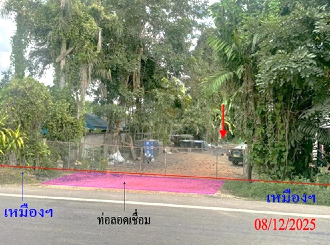 ขายบ้านเดี่ยว หนองช้างคืน เมืองลำพูน พื้นที่ 18.7 ตร.ว. พื้นที่ใช้สอย 222 ตร.ม. 3 ห้องนอน ทำเลดี ราคา 2.58 ล้าน