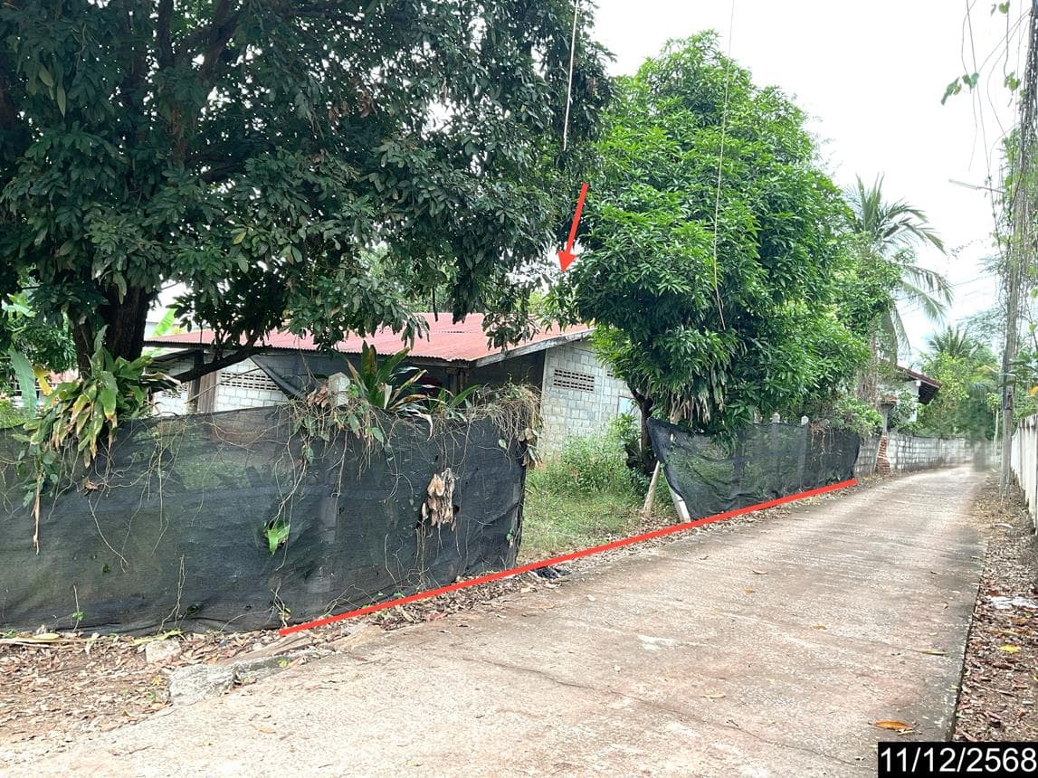 บ้านเดี่ยว นาอาน เมืองเลย 1 ห้องน้ำ พื้นที่ 115 ตร.ม. ทำเลดีใกล้ใจกลางเมือง ราคาล้านต้นๆ