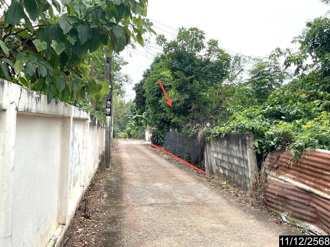 บ้านเดี่ยว นาอาน เมืองเลย 1 ห้องน้ำ พื้นที่ 115 ตร.ม. ทำเลดีใกล้ใจกลางเมือง ราคาล้านต้นๆ