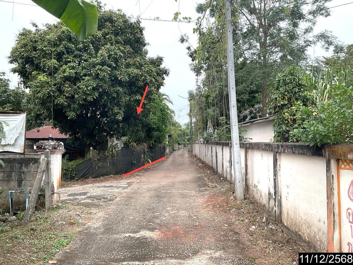 บ้านเดี่ยว นาอาน เมืองเลย 1 ห้องน้ำ พื้นที่ 115 ตร.ม. ทำเลดีใกล้ใจกลางเมือง ราคาล้านต้นๆ
