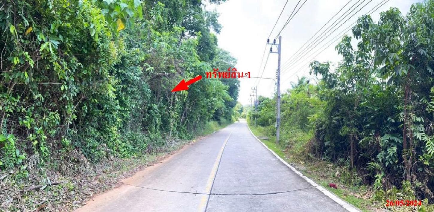 ที่ดินว่างเปล่า เกาะแก้ว เมืองภูเก็ต ภูเก็ต เนื้อที่ขนาดใหญ่ 17 ไร่ 40 ตร.ว. ทำเลศักยภาพสูงเหมาะพัฒนาโครงการอสังหาริมทรัพย์หรือลงทุนเก็งกำไร ราคาพิเศษ 109 ล้าน