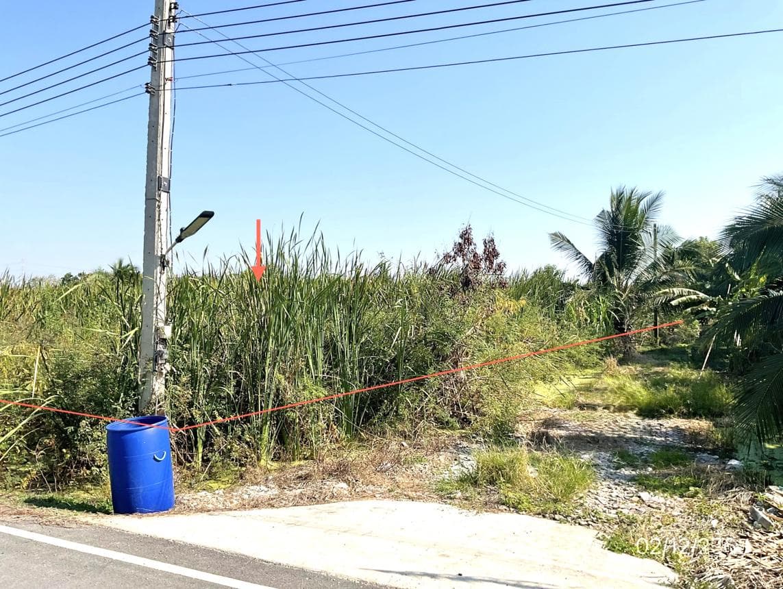 บ้านเดี่ยว บางเลน นครปฐม พื้นที่ที่ดินกว้างขวาง 78 ตร.ว. ทำเลสงบ บรรยากาศดี ราคาคุ้มค่า
