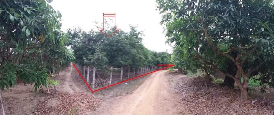 ที่ดินว่างเปล่า บ้านเหล่ายาวเหนือ บ้านโฮ่ง-ลำพูน