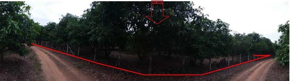 ที่ดินว่างเปล่า บ้านเหล่ายาวเหนือ บ้านโฮ่ง-ลำพูน
