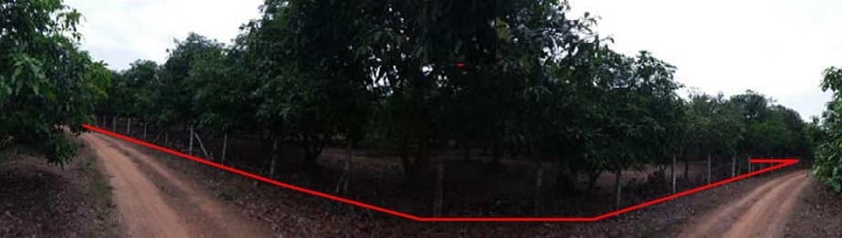 ที่ดินว่างเปล่า บ้านเหล่ายาวเหนือ บ้านโฮ่ง-ลำพูน