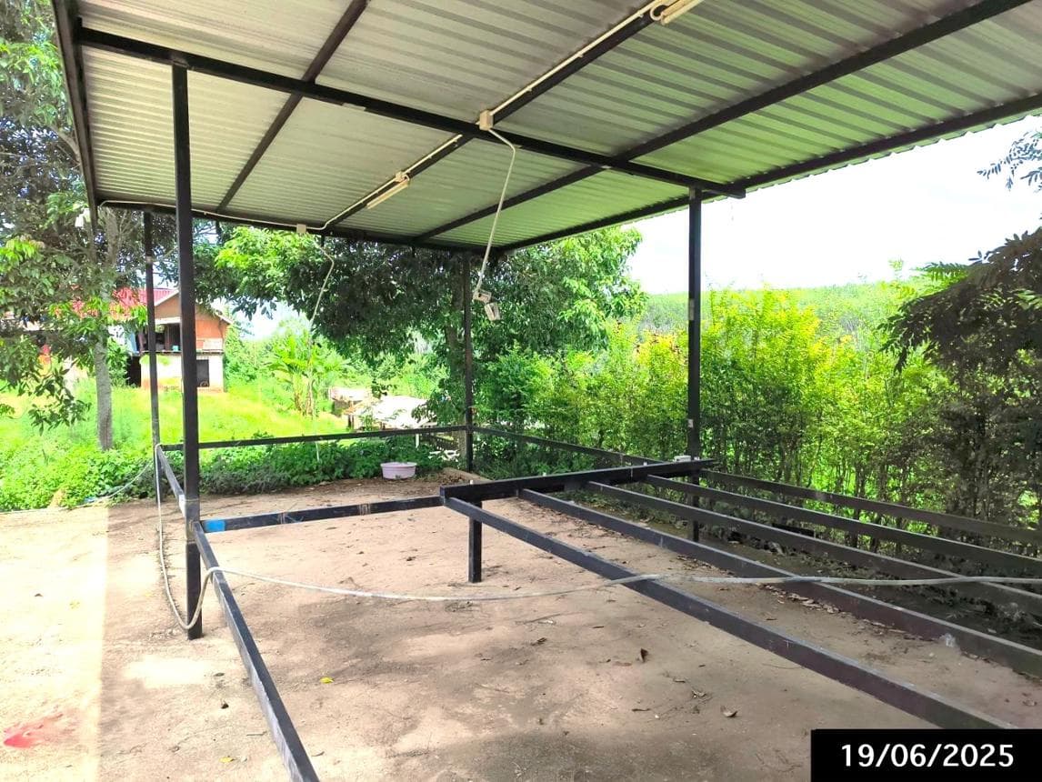 บ้านเดี่ยว ตะกุกใต้ วิภาวดี สุราษฎร์ธานี 4 ห้องนอน พื้นที่กว้าง 216 ตร.ม. ทำเลสงบราคาไม่ถึง 3 ล้าน