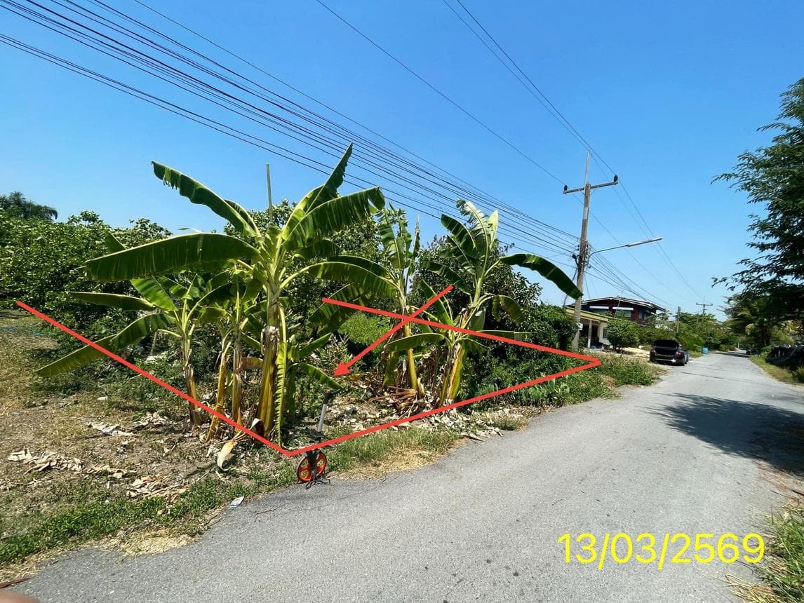 ขายที่ดินเปล่า ศาลาครุ หนองเสือ ปทุมธานี ทำเลศักยภาพ เหมาะลงทุนและเกษตรกรรม