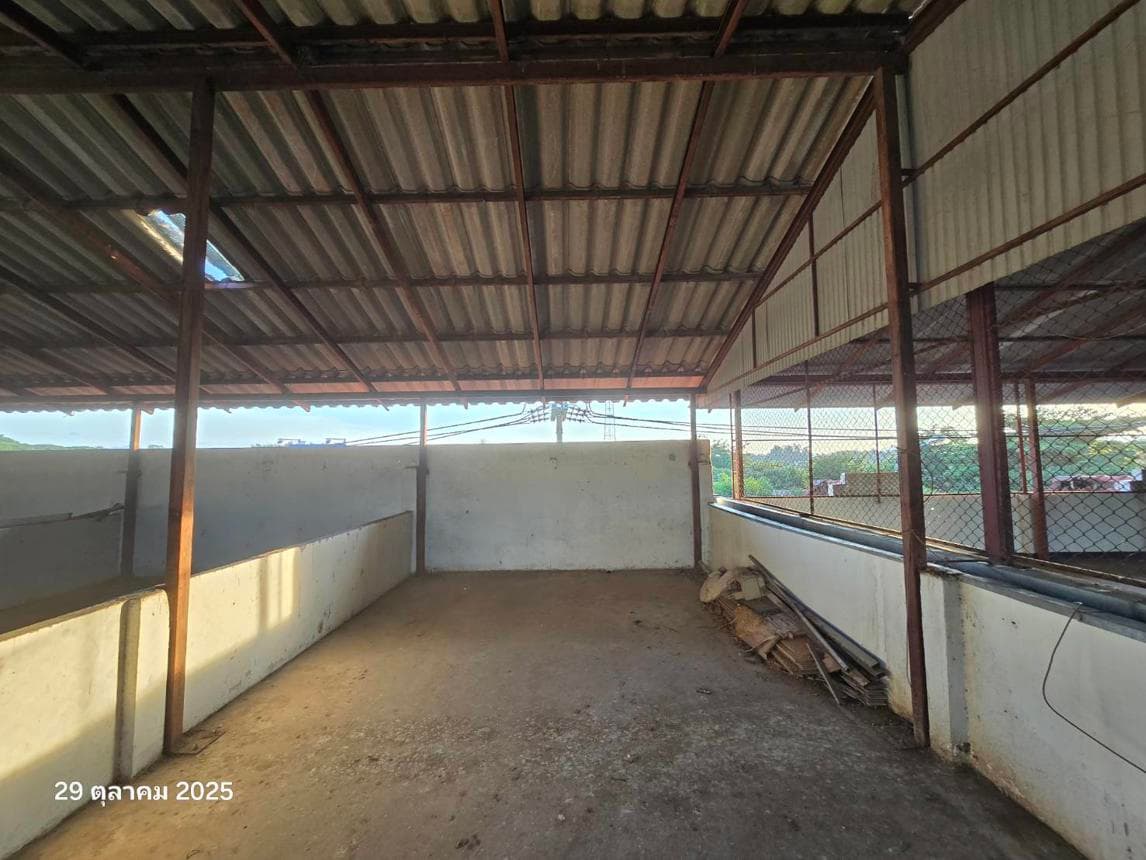 อาคารพาณิชย์ 2 ห้องนอน พื้นที่ 340 ตร.ม. ทำเลศักยภาพ หนองม่วงไข่ หนองม่วงไข่ แพร่