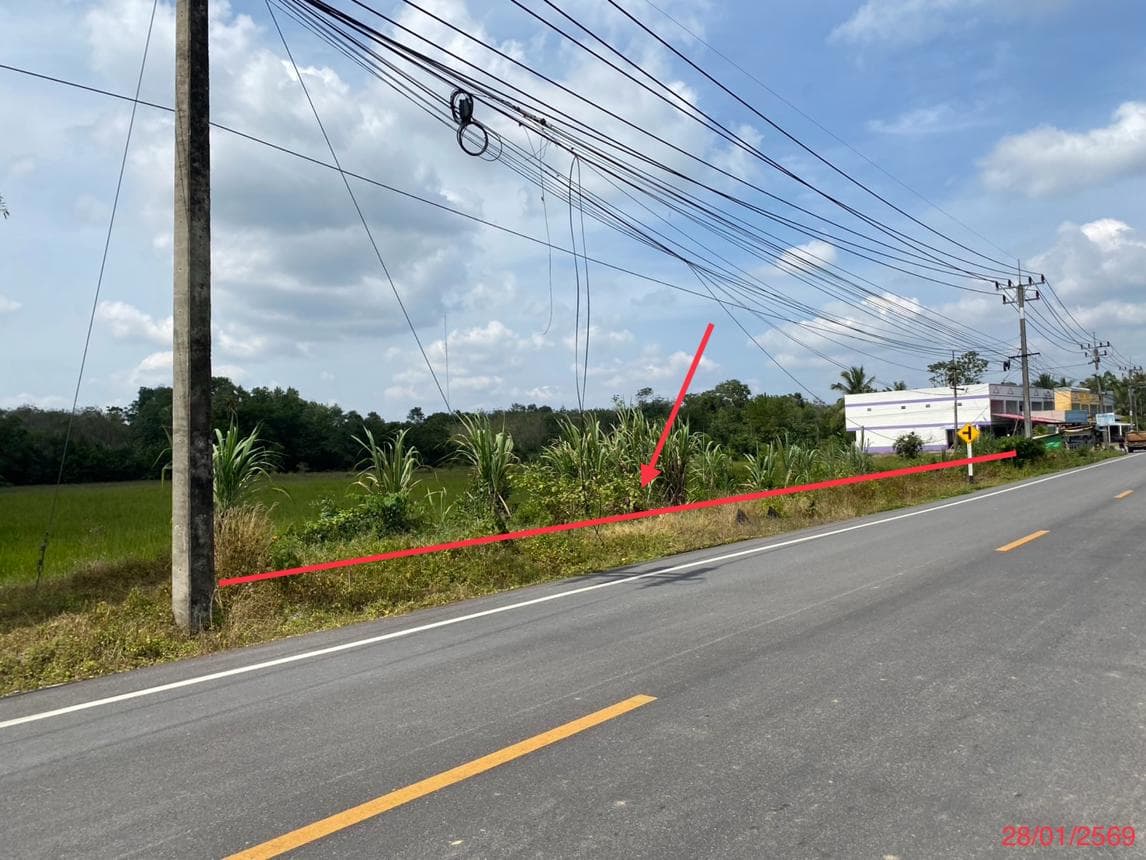 ขายที่ดิน ชะมวง ควนขนุน พัทลุง เนื้อที่ 96 ตร.ว. ทำเลศักยภาพ เหมาะสำหรับการลงทุน