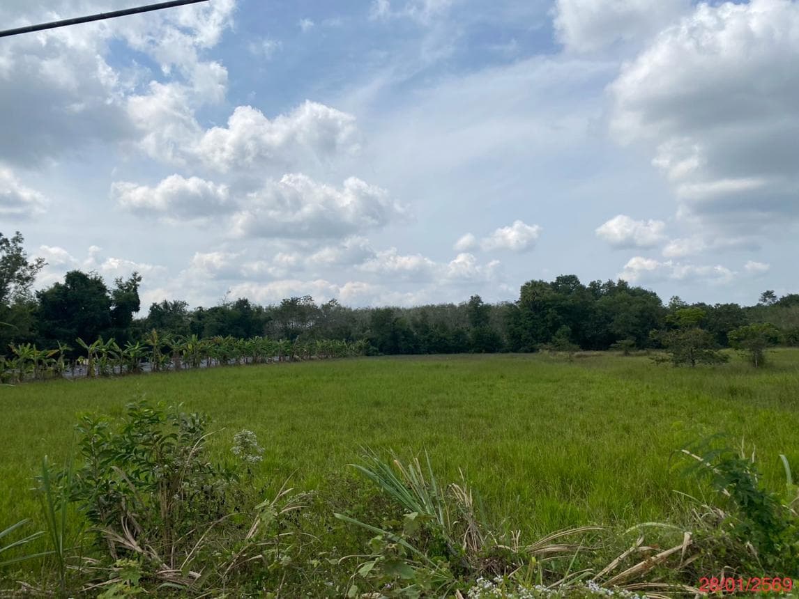 ขายที่ดิน ชะมวง ควนขนุน พัทลุง เนื้อที่ 96 ตร.ว. ทำเลศักยภาพ เหมาะสำหรับการลงทุน