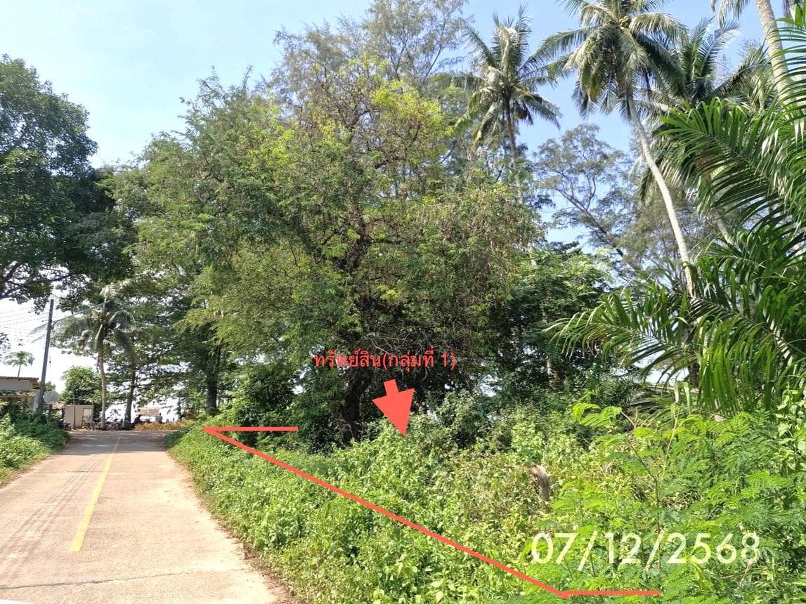 ที่ดินเปล่าผืนใหญ่ 25 ไร่ ทำเลหาดสำราญ ตรัง บรรยากาศดีใกล้ชิดธรรมชาติ เหมาะลงทุนทำฟาร์มสเตย์หรือบ้านพักตากอากาศ