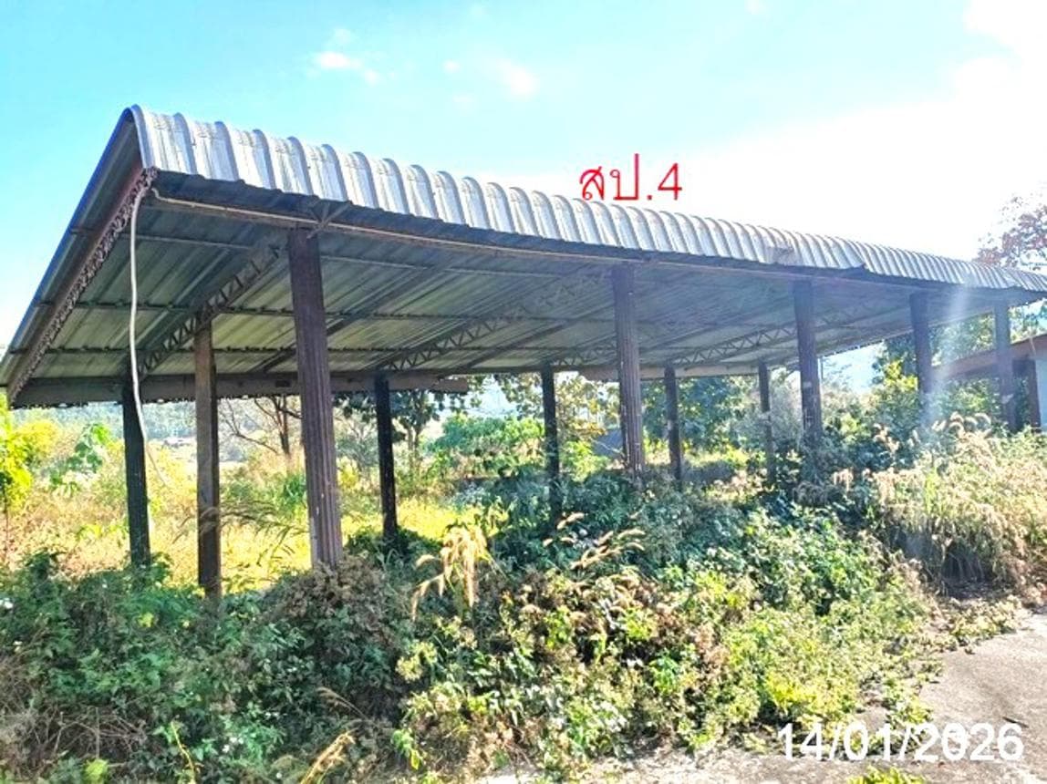ขายบ้านเดี่ยว เวียงแหง เชียงใหม่ ทำเลเมืองแหง เนื้อที่ 35.2 ตร.ว. พื้นที่ใช้สอย 190.4 ตร.ม. 4 ห้องนอน 4 ห้องน้ำ สภาพดี พร้อมอยู่