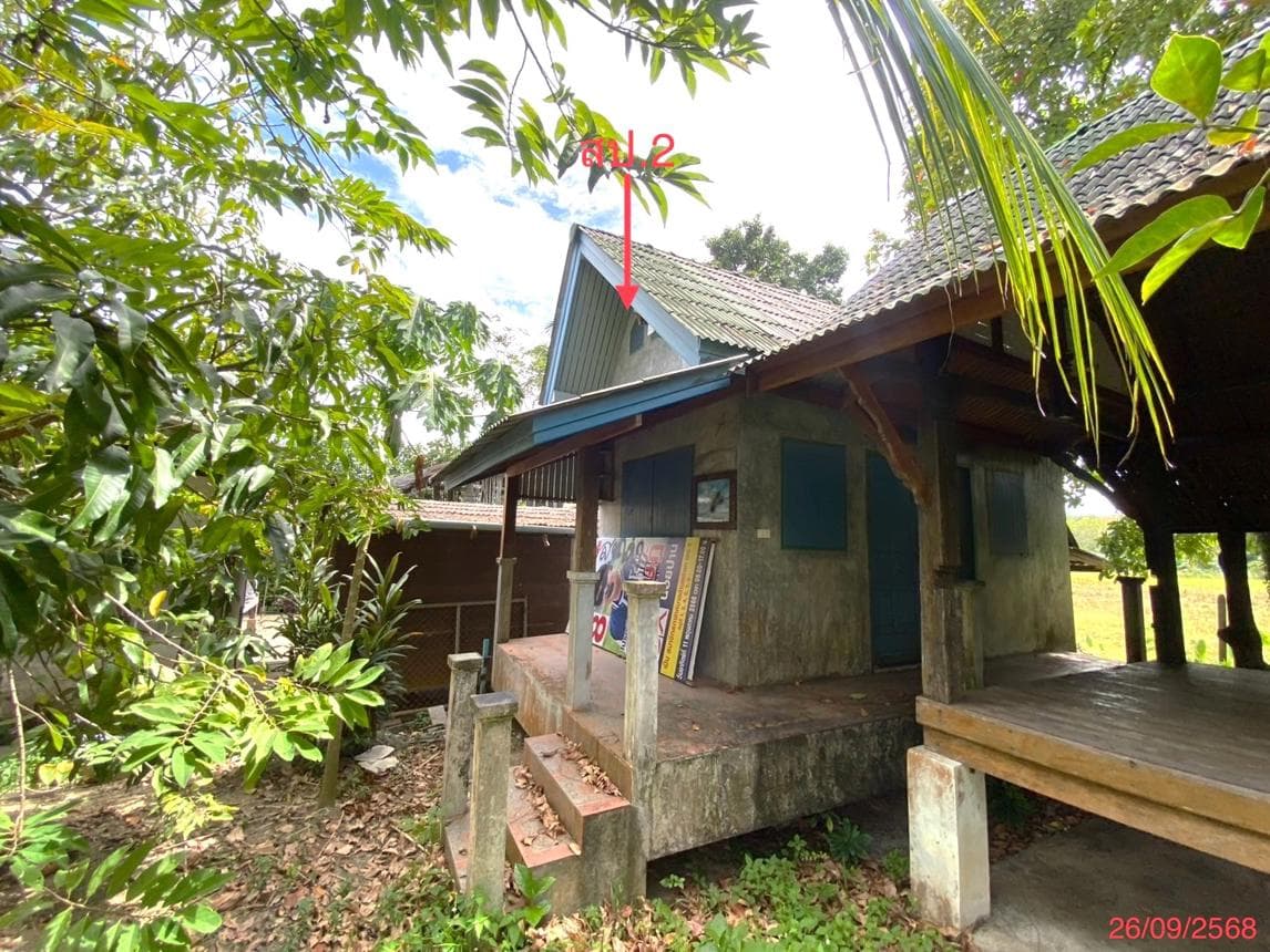 บ้านเดี่ยว ท่าแค เมืองพัทลุง พื้นที่ 93.1 ตร.ว. พื้นที่ใช้สอย 220 ตร.ม.