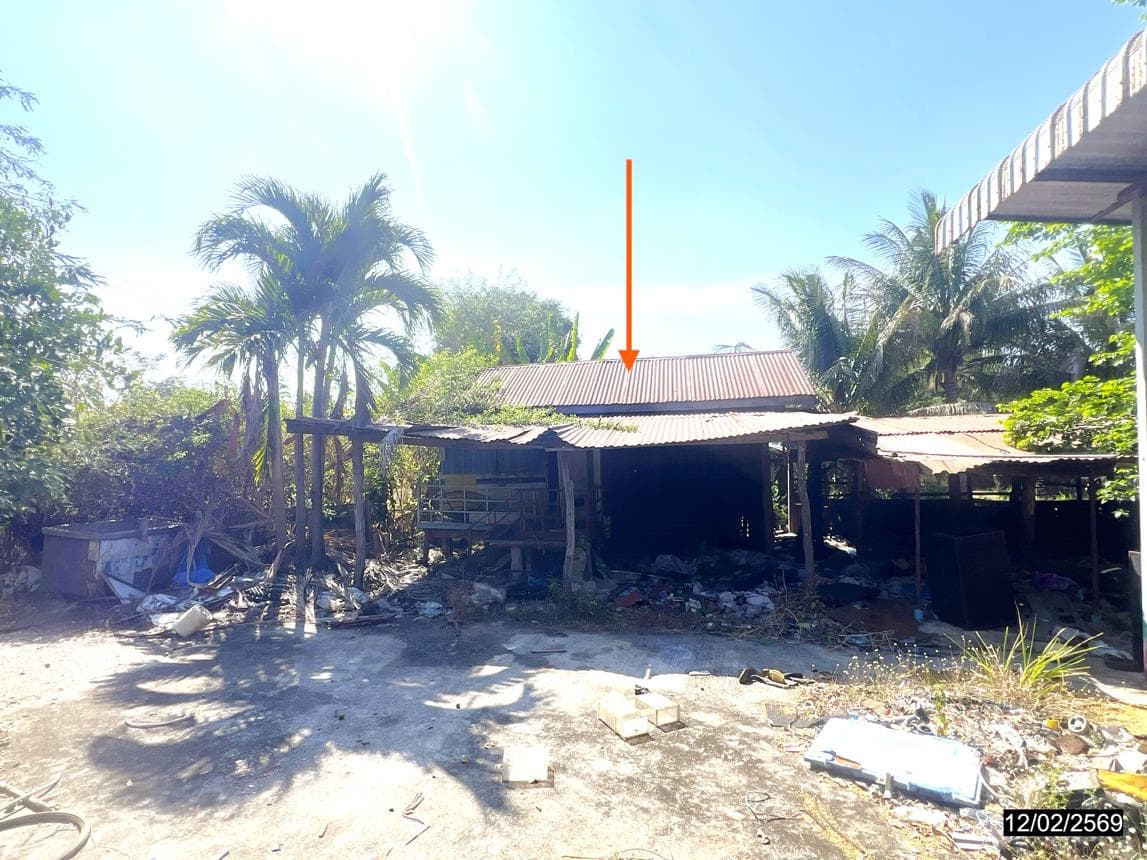 บ้านเดี่ยว 1 ห้องนอน พื้นที่ 77 ตร.ม. ทำเลศักยภาพ หัวทะเล บำเหน็จณรงค์ ชัยภูมิ
