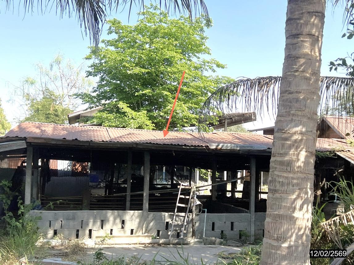 บ้านเดี่ยว 1 ห้องนอน พื้นที่ 77 ตร.ม. ทำเลศักยภาพ หัวทะเล บำเหน็จณรงค์ ชัยภูมิ