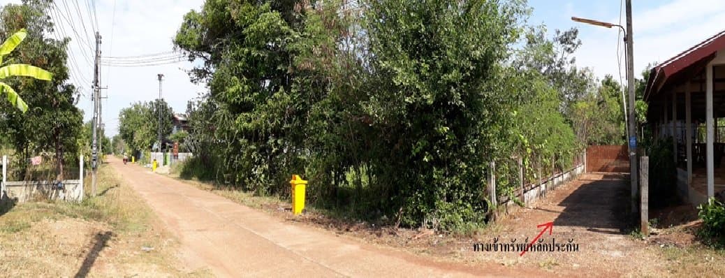 บ้านเดี่ยว นาหว้า-นครพนม