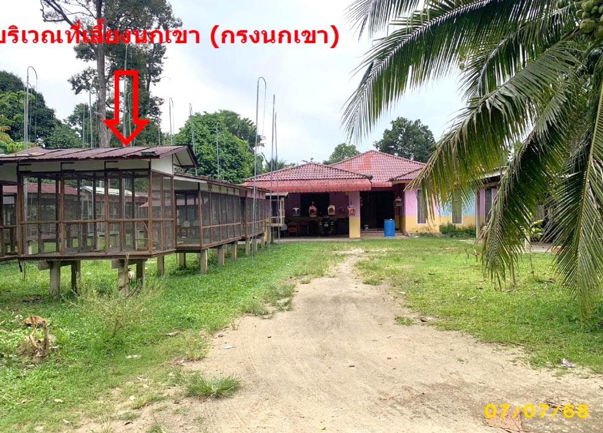 บ้านเดี่ยว มะนังดาลำ สายบุรี ปัตตานี พื้นที่ 30 ตร.ว. พื้นที่ใช้สอย 527.25 ตร.ม.