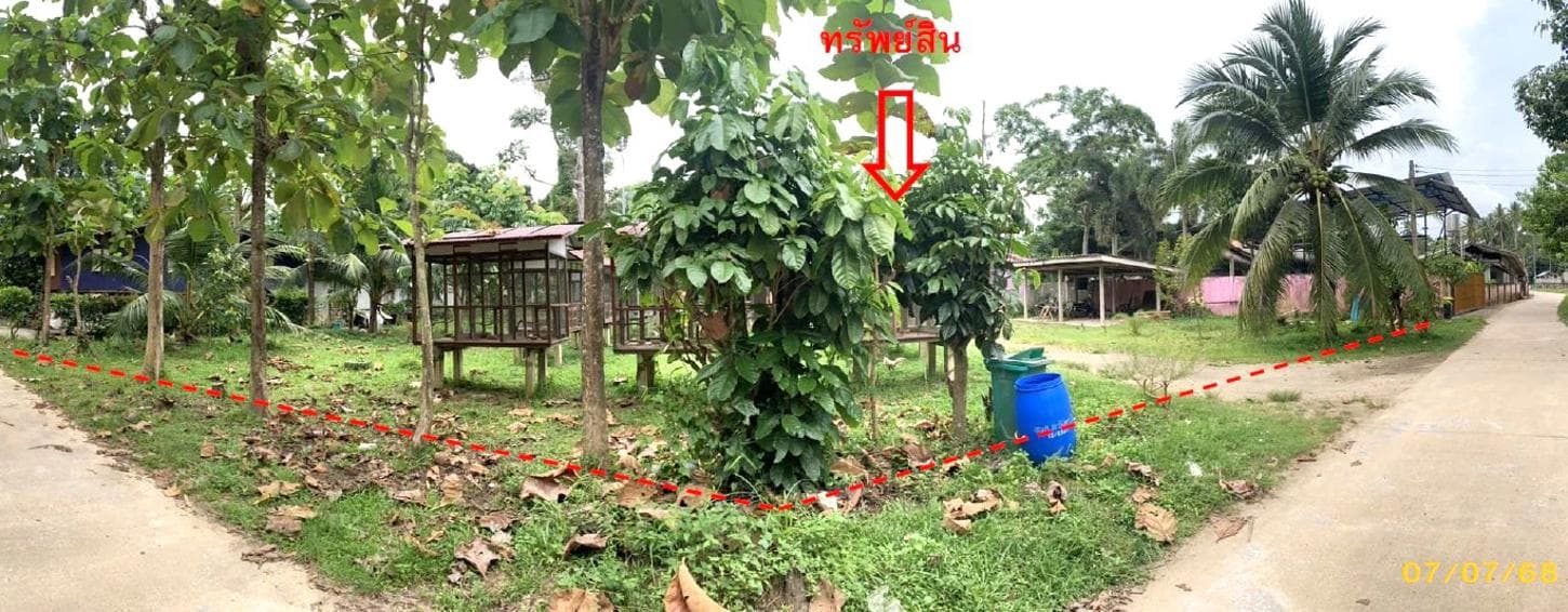 บ้านเดี่ยว มะนังดาลำ สายบุรี ปัตตานี พื้นที่ 30 ตร.ว. พื้นที่ใช้สอย 527.25 ตร.ม.