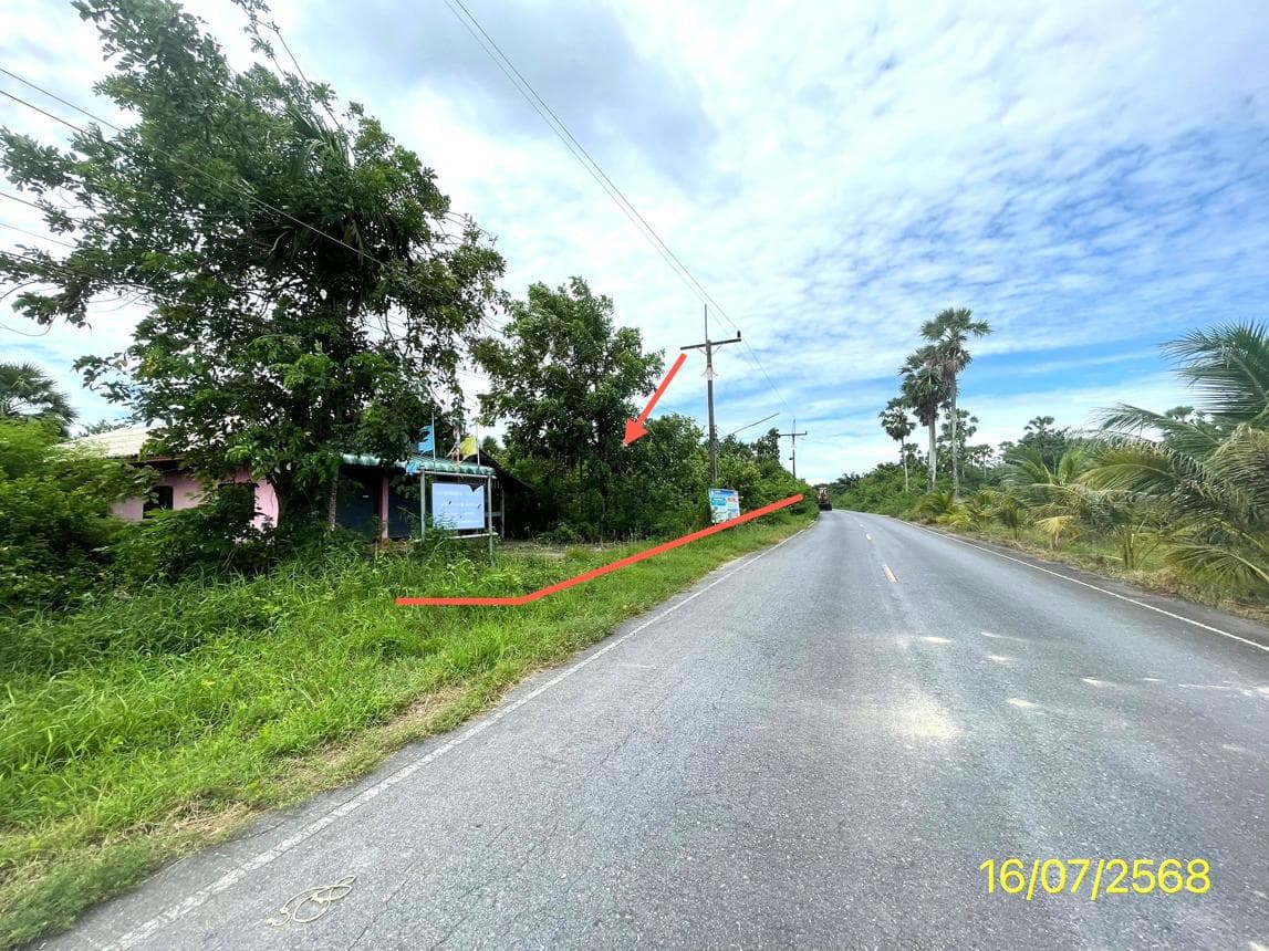 ขายบ้านเดี่ยว บ้านใหม่ ระโนด สงขลา พื้นที่ใช้สอย 96 ตร.ม. ทำเลเงียบสงบ ราคาคุ้มค่า