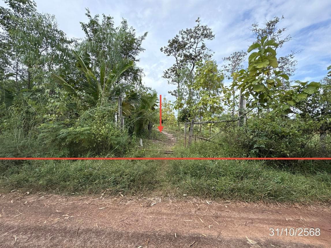 ที่ดินเปล่า โพธิ์ใหญ่ วารินชำราบ อุบลราชธานี 72.7 ตร.ว. ทำเลสวย เหมาะสร้างบ้านพักอาศัย