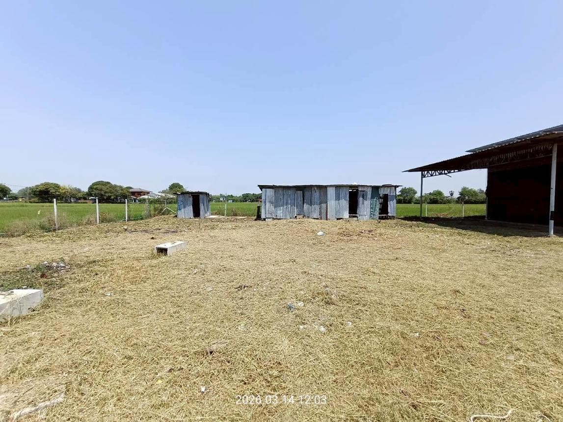 ขายโกดังทำเลทองเมืองสระบุรี พื้นที่กว้างขวาง ติดแหล่งยุทธศาสตร์การขนส่ง หนองยาว