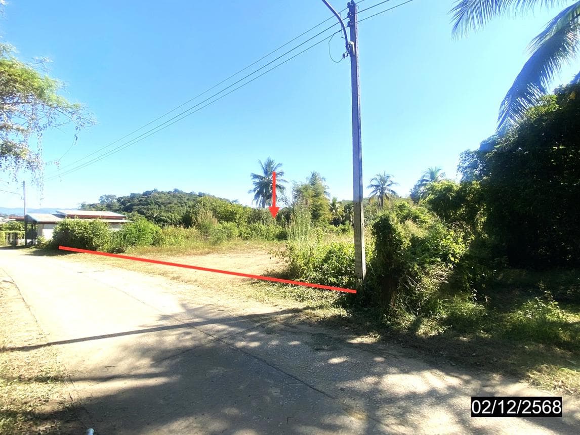 ขายที่ดินเปล่า ปากชม เลย พื้นที่ 48.1 ตร.ว. ทำเลสงบ บรรยากาศดี ราคาไม่ถึงล้านนั่นเอง
