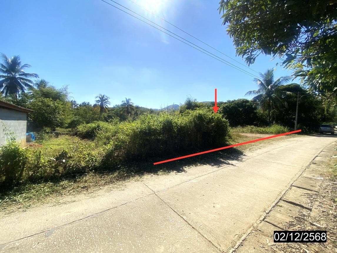 ขายที่ดินเปล่า ปากชม เลย พื้นที่ 48.1 ตร.ว. ทำเลสงบ บรรยากาศดี ราคาไม่ถึงล้านนั่นเอง